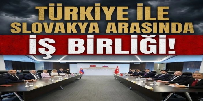 Türkiye ile Slovakya arasında enerji alanında iş birliği mutabakatı imzalandı