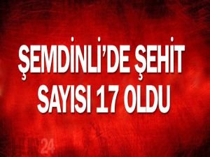 Şemdinli'de şehit sayısı 17 oldu