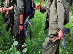 PKK'nın Sincar'da "ikinci Kandil" planı