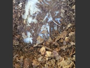 Tuzaklanmış vaziyette sığınaklar bulundu