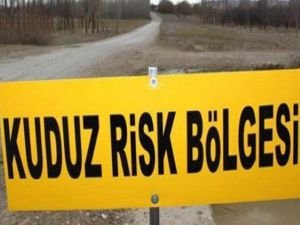 Denizli’de 4 ilçede kuduz alarmı