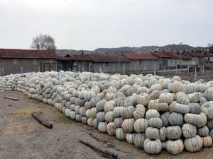 Fiyatı yüzde 50 düştü ama kimse almıyor