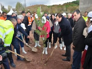 Hedef 5 milyon 100 bin ağaç ve bitki