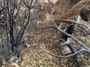 Bingöl'de PKK Sığınak ve Mevzisi bulundu!