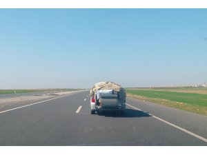 Nusaybin'de telaş başladı!