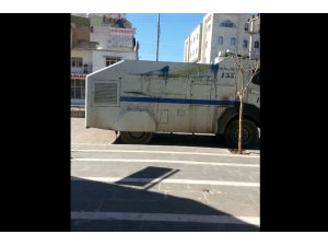 Cizre’de 7 gözaltı!