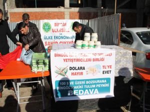 Bingöl’de dolar bozdurana peynir bedava!