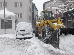 Bitlis'in tüm köy yolları kapandı