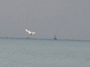 Rus uçağı düştü!