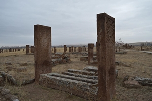 Medeniyetlerin mozaiği Ahlat Selçuklu mezarlıkları