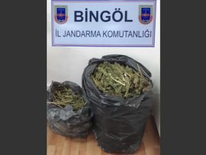 Bingöl'de 16  KG esrar ele geçirildi