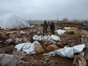 Siverek’te ahır faciası