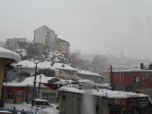 Bitlis'te yoğun kar yağışı sürüyor