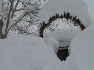 Evlerine tünelden giriyorlar