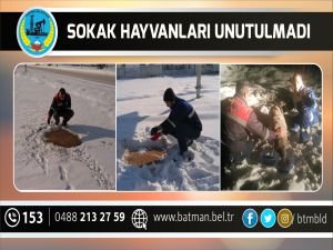 Sokak hayvanları unutulmadı