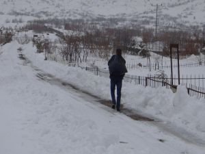 Merhum oğlu için her gün hayvanları besliyor