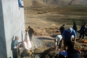 Çözülen su sorunu  köylüler kurban keserek kutladılar!