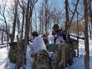 Bitlis kırsalında PKK'ya büyük darbe