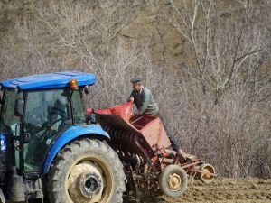 Üretici-market fiyat farkında soğan ilk sırada