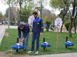 Batman'da sokak hayvanları artık sahipsiz değil