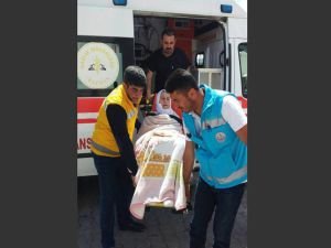 Batman'da 150 hasta ambulansla sandığa götürüldü