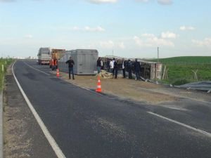 Mucur yüklü TIR şarampole yuvarlandı!