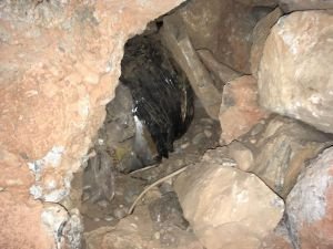 Tunceli'de facianın önüne geçildi