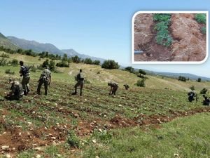 Diyarbakır'da PKK operasyonları sürüyor!