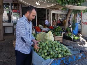 Şelengo sebzesi tezgâhlardaki yerini aldı