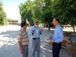 Zeynel Abidin Türbesi'ne çevre düzenlemesi