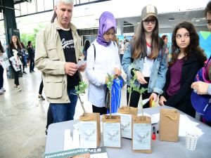 Haydarpaşa'da zeytin fidanı dağıtıldı