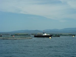 Muğlalı ihracatçılar vergi rekortmenleri listesine damga vurdu