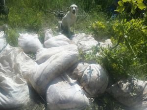 Bitlis’te iki ton amonyum nitrat ele geçirildi