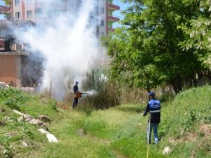 Haşere Ve Sineklere Karşı İlaçlama