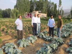 HÜDA PAR Muş teşkilatı çiftçileri tarlada ziyaret etti