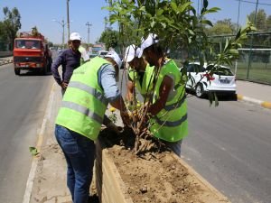 Kentin Yeşillendirilmesinde, Yapım Ve Bakım İşleri Bir Arada