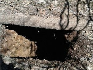 PKK'ya ait sığınak ve mühimmat bulundu
