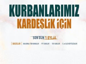 Diyanet, 135 ülkede vekâletle kurban kesimi yapacak