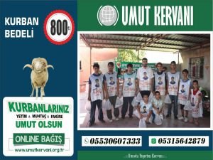 Umut Kervanı Mersin'de kurban çalışmalarına hız verdi