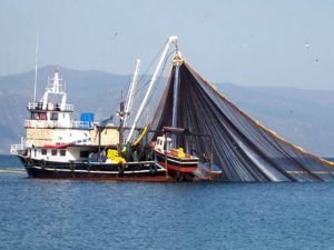 Balıkçılık sezonu 1 Eylül'de başlıyor