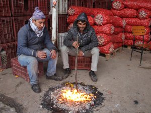 Meyve ve sebze fiyatları tavan yaptı