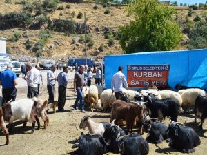 Bitlis’te bayram arifesinde kurban pazar yerlerinde hareketlilik