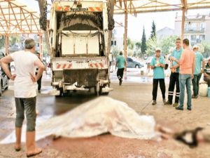 Veremli kurbanlık paniği!