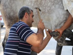 Nalbant mesleği tarihe karışıyor