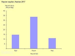 Hayvansal üretim istatistikleri açıklandı