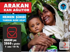 Batman Üniversitesi Arakan için yardım kampanyası başlattı