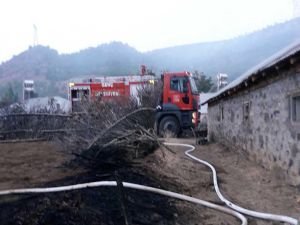 30 büyükbaş hayvan yangından son anda kurtarıldı