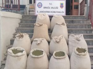 Bingöl’de 405 kilogram esrar ele geçirildi