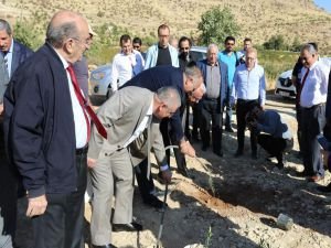 Şanlıurfa’da 25 çeşit zeytin çoğaltılarak bölge ekonomisine kazandırılacak