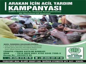 Bingöl'de Arakanlı Müslümanlar için yardım kampanyası başlatıldı